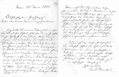 Brief Ernst Haeckels an Großherzog Carl Alexander von Sachsen-Weimar-Eisenach, Jena, 10.1.1889. Abbildung: Ernst-Haeckel-Haus Jena.