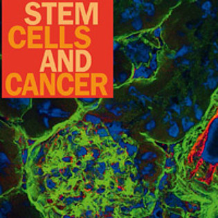 More 'Stem Cells and Cancer'