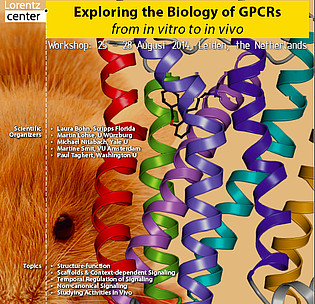 More 'Exploring the Biology of GPCRs from in vitro to in vivo'