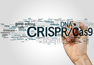 More 'Genome Editing – Challenges for the Future'