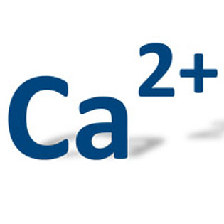 Mehr zu 'European Calcium Channel Conference 2015'