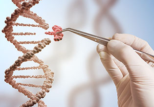 More 'Krankheiten heilen mit Genomchirurgie – wie entscheiden wir uns?'