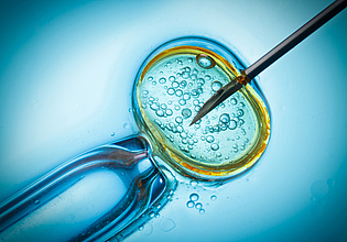 Embryonenschutz und Fortpflanzungsmedizin neu reflektieren