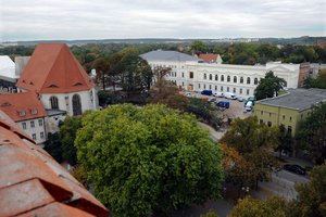 Leopoldina