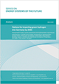 Options for importing green hydrogen into Germany by 2030 (2024)