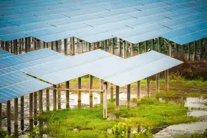 solar energy in swamp
