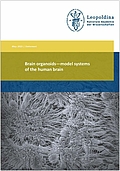 Brain organoids – model systems of the human brain (2023)