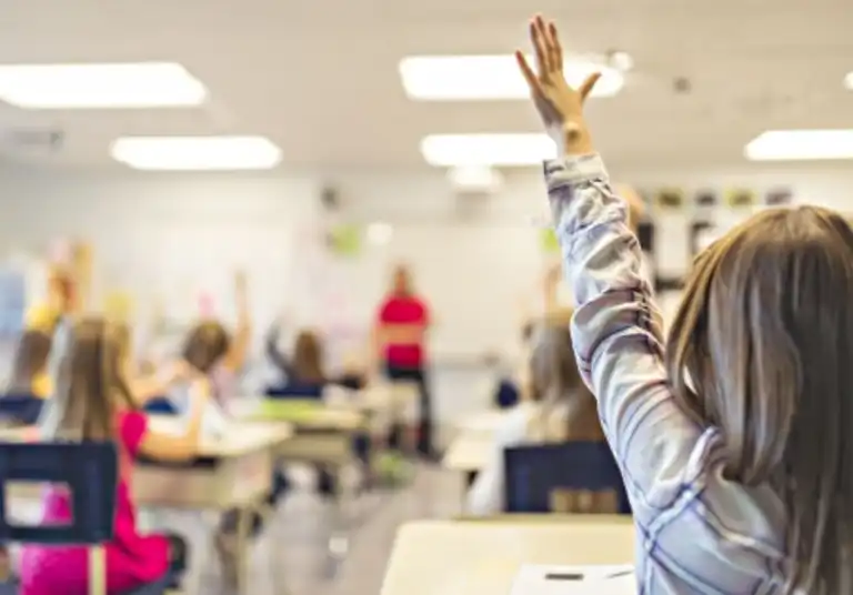 education and school concept little student girl studying at school arm up