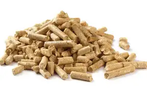 Pile of wood pellets isolated on white