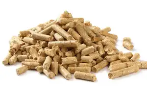 Pile of wood pellets isolated on white