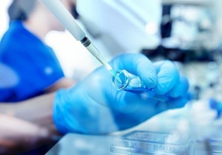 Podiumsdiskussion zur Forschung an menschlichen Embryonen in Deutschland