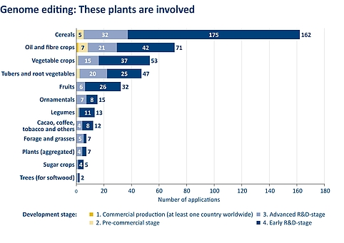 Figure 1: Number of research and development (R&D) projects worldwide in which plants receive modified or new traits via genome editing, itemised by plant species. The overview of 426 projects in total was compiled for a report by the Joint Research Centre of the European Commission. 
Source: Parisi, C., Rodrigeuz-Cerezo, E., Current and future market applications of new genomic techniques, Luxembourg, 2021 | Illustration: Emde Grafik
