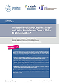 What Is the Voluntary Carbon Market – and What Contribution Does It Make to Climate Action? (2024)