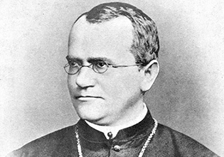 More 'Gregor Mendel – a Pioneer of Modern Genetics'