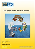 Packaging plastics in the circular economy (2020)