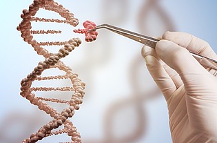 More 'Assessing the Security Implications of Genome Editing Technology'
