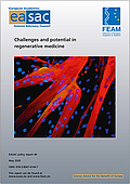 Challenges and potential in regenerative medicine (2020)