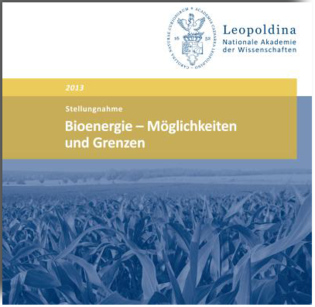Energiewende: Deutsche Fassung der Bioenergie-Stellungnahme erschienen