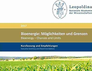 Leopoldina legt kritische Stellungnahme zur Nutzung von Bioenergie vor