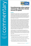 Forest bioenergy, carbon capture and storage, and carbon dioxide removal: an update (2019)