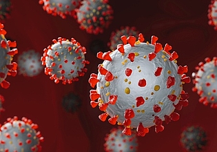 Coronavirus: G7- und G20-Akademien fordern internationale Zusammenarbeit