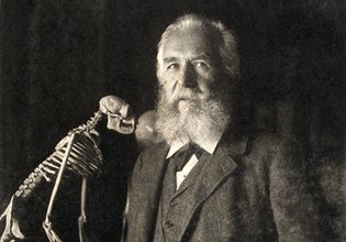 Ernst Haeckels wissenschaftliche und politische Wirkung