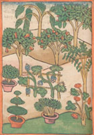 Mehr zu 'Ausstellung „Gart der Gesundheit. Botanik im Buchdruck von den Anfängen bis 1800“'