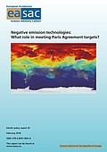 Negative emission technologies (2018)