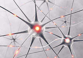 Mehr zu '[Verschoben] Recent Advances in Neuroscience'