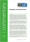 Hydrogen and synthetic fuels (2020)