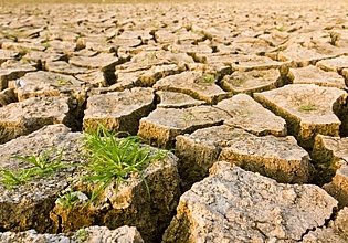 Klimawandel: Factsheet beleuchtet Ursachen, Folgen und Handlungsmöglichkeiten