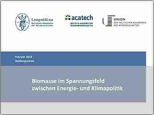Strategien zur nachhaltigen Nutzung von Bioenergie