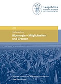 Bioenergie: Möglichkeiten und Grenzen (2012/2013)