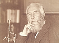 Ernst Haeckel. Foto: Leopoldina-Archiv.