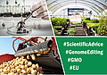 Virtuelle Konferenz zur Regulierung genomeditierter Pflanzen in der EU