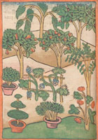 Eröffnung der Ausstellung „Gart der Gesundheit. Botanik im Buchdruck von den Anfängen bis 1800“